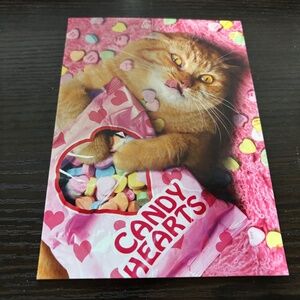 Cat Candy Hearts Valentine's day greeting card